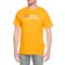 The North Face Evolution City GPS T-Shirt - Short Sleeve in Summit Gold/Denver