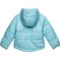 2FAWF_3 The North Face Infant Boys Perrito Jacket - Reversible, Insulated
