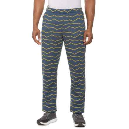The North Face Linear Mountains Gordon Lyons Pants in Shady Blue