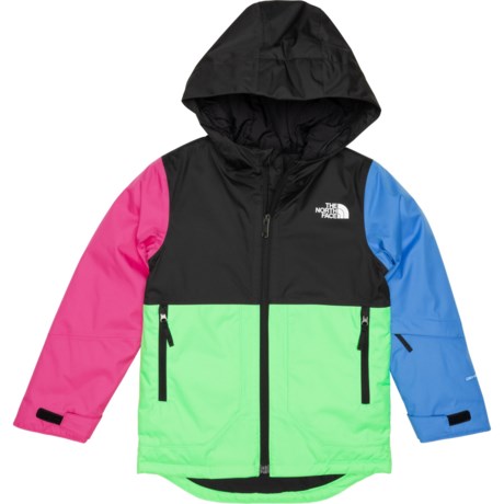 The North Face Little Boys Freedom Ski Jacket - Waterproof, Insulated