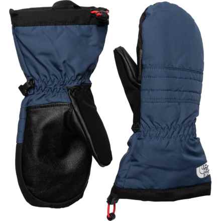 The North Face Montana Ski Mittens - Waterproof, Insulated, Touchscreen Compatible (For Boys and Girls) in Shady Blue
