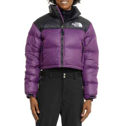 The North Face Nuptse Short Jacket - 700 Fill Power in Black Currant Purple