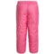 195AF_3 The North Face Reversible Snow Pants - Insulated (For Toddlers)