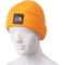 1PUCN_2 The North Face Salty Dog Beanie (For Men)