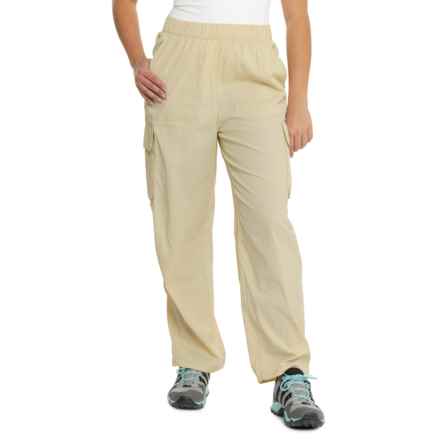 The North Face Spring Peak Cargo Pants in Gravel