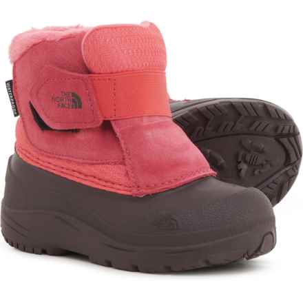 The North Face Toddler Girls Alpenglow II Snow Boots - Waterproof, Insulated, Suede in Paradise Pink/Root Brown