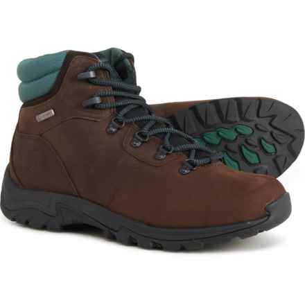 Timberland Mt. Maddsen Mid Hiking Boots - Waterproof, Leather (For Women) in Dark Brown