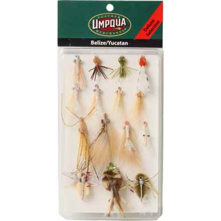 UMPQUA Belize-Yucatan Deluxe Fly Selection Set - 15-Piece in Multi