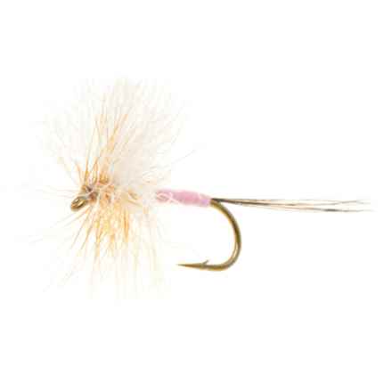 UMPQUA Freed Razor Mayfly Dry Fly - Dozen in Pink