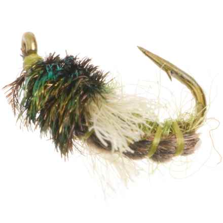 UMPQUA Mercer Z-Wing Caddis Nymph Fly - Dozen in Olive