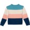 2APXJ_2 Willow Blossom Big Girls Color-Block Sweater