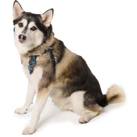 Wingo Outdoors Suzie Dog Harness in River Topo