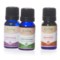 380AX_2 Woolzies Gift Essential Oil Starter Kit - Set of 3