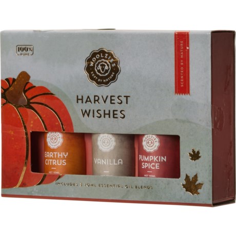 Woolzies Harvest Wishes Essential Oils - Set of 3 in Multi