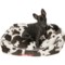 Wrangler Cow Print Box Patterned Dog Bed - 28x22x7” in Multi