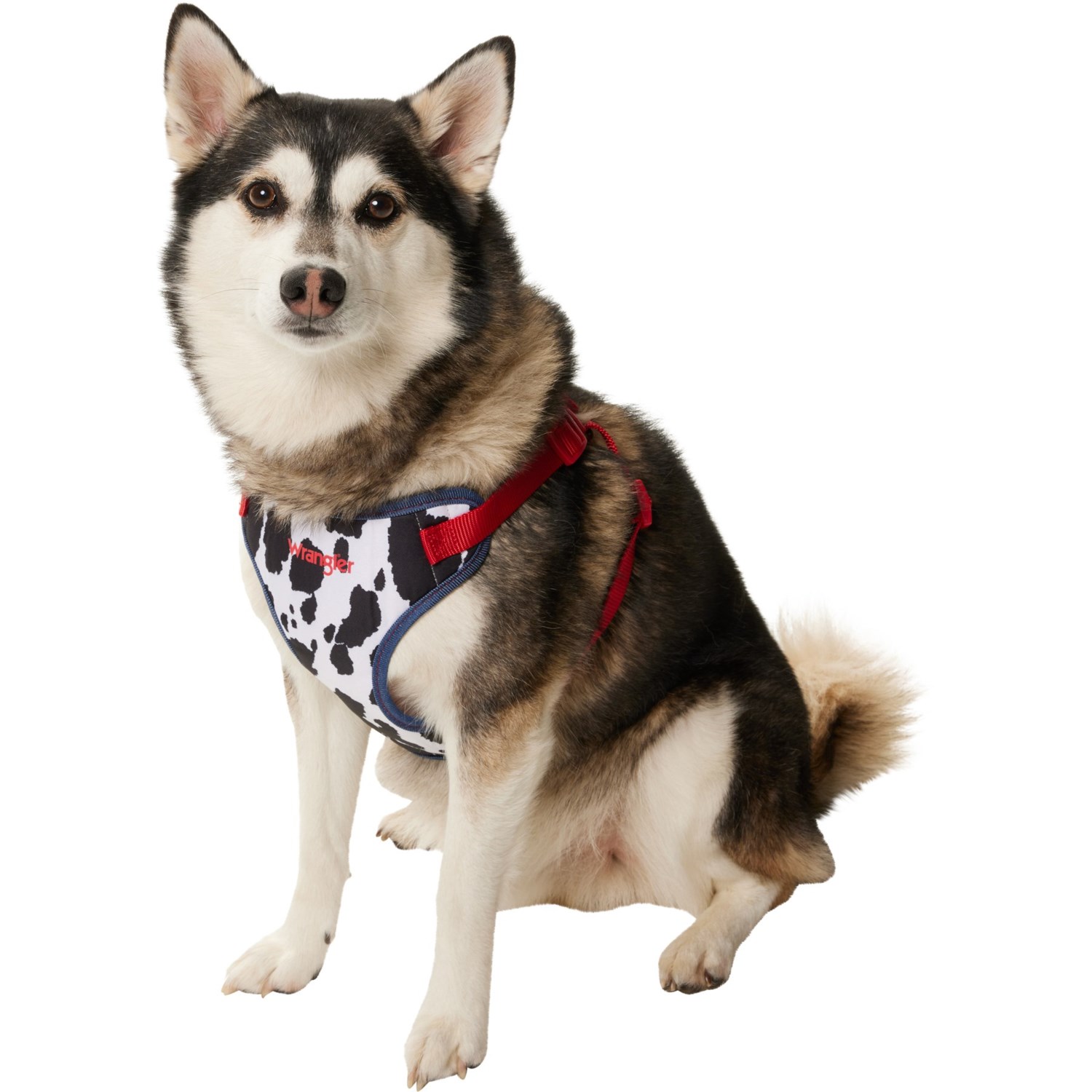 Cowboys dog harness best sale