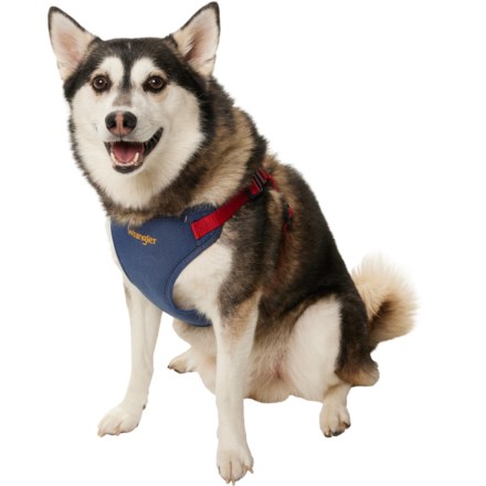 Wrangler Denim Comfort Dog Harness in Dark Wash