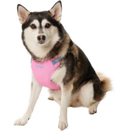 Wrangler Denim Comfort Dog Harness in Pink