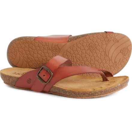 Yokono Made in Spain Toe Loop Sandals - Leather (For Women) in Brown