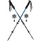 5RMAW_3 Yukon Charlie's Advanced Snowshoe Kit (For Men and Women)